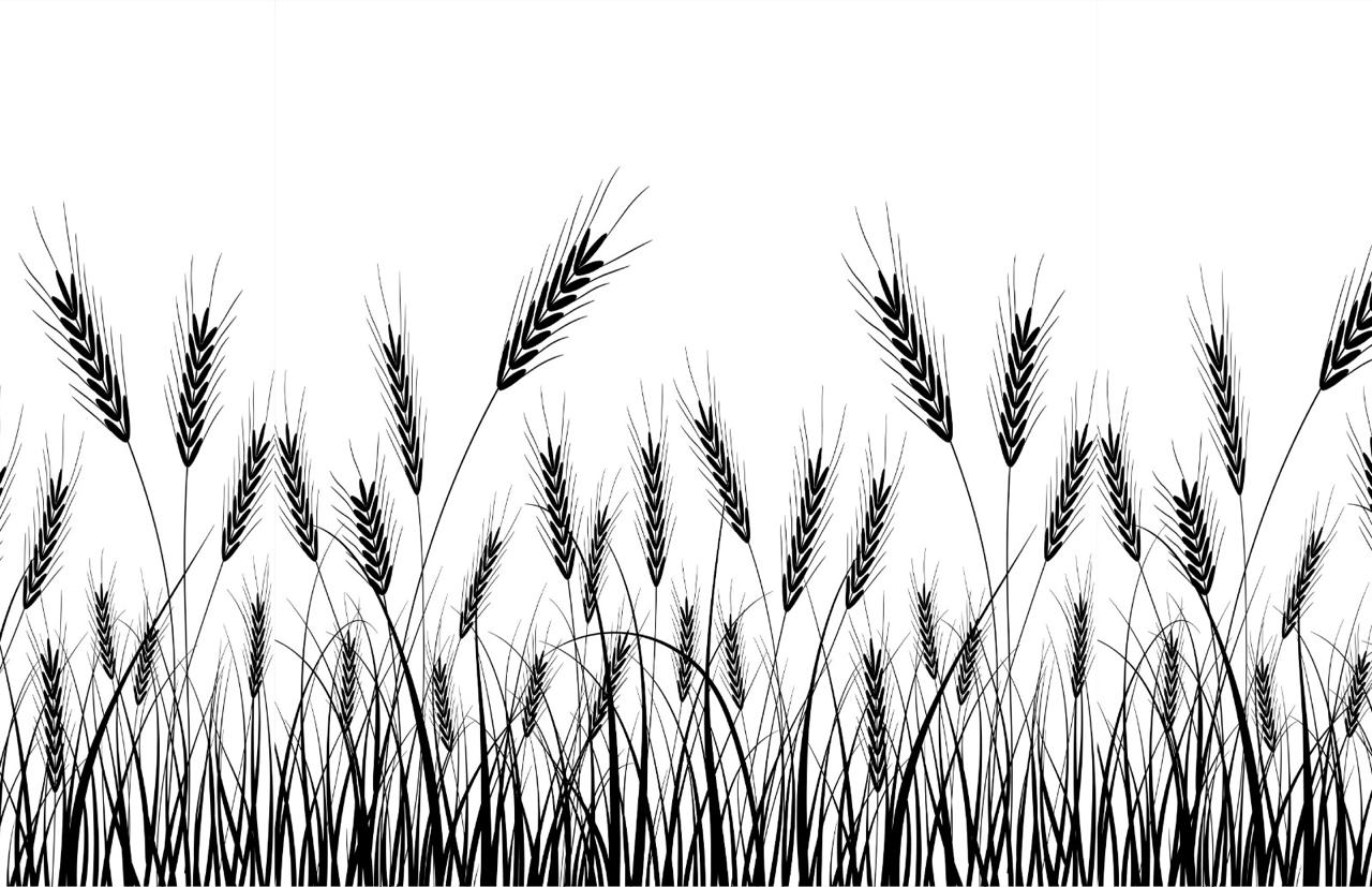 Барельеф Хлеб из коллекции botanic